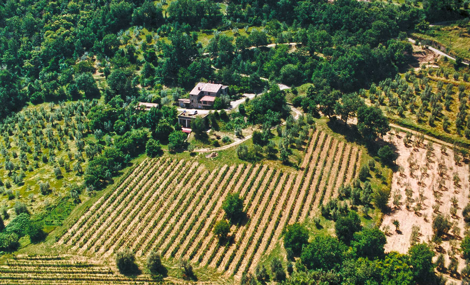 Molinari Carlo Farm in Montalcino